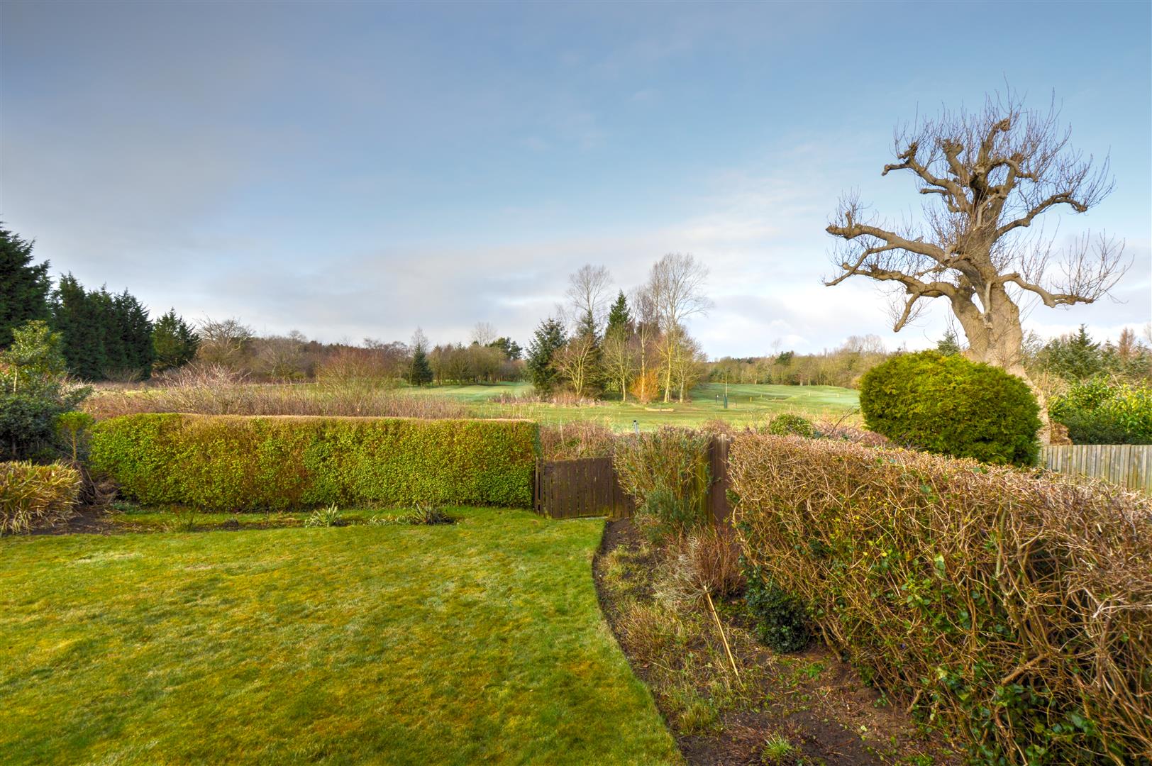 Property Churchburn Drive, Morpeth House Detached Rickard